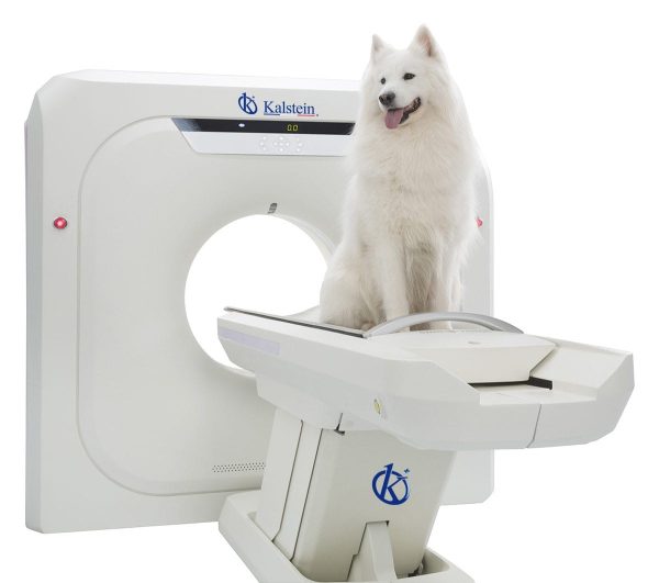 Veterinary CT Scanner YR06166